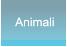 Animali Animali