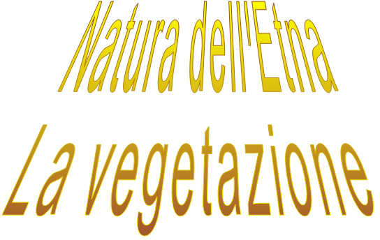 Natura dell'Etna La vegetazione